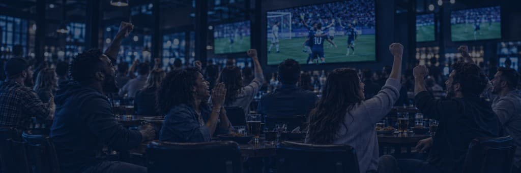 A crowd cheering a football match on television