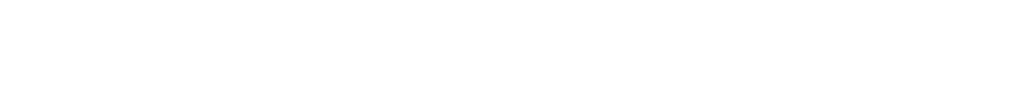 Ronin Sport logo